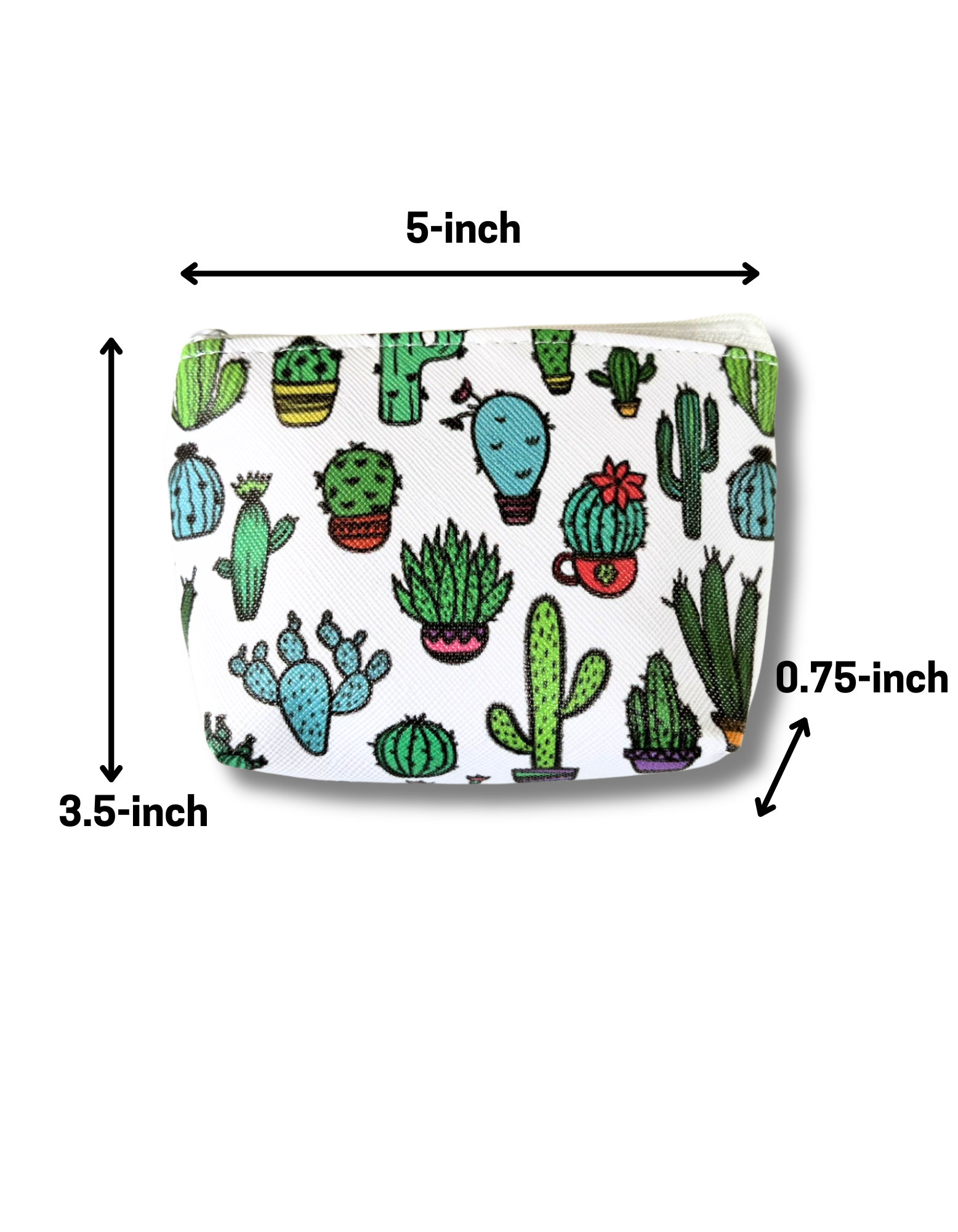 Succulents